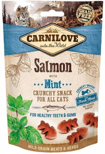 big_carnilove-snack-cat-salmon-mint-petsplanet-bydgoszcz.jpg