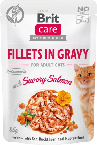 britcate-fillets-in-gravy-savory-salmon-losos-85g-petsplanet.jpg