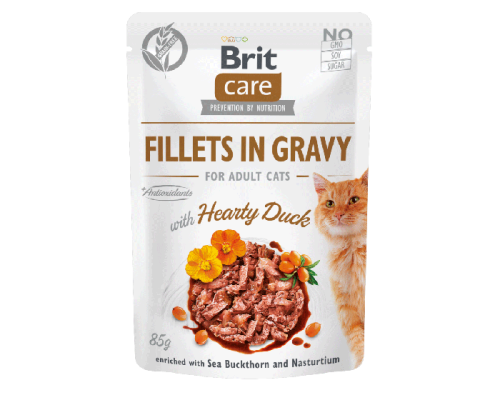 bcc_pouch_fillets_gravy-hearty_duck-saszetka-85g-petsplanet-bydgoszcz.png