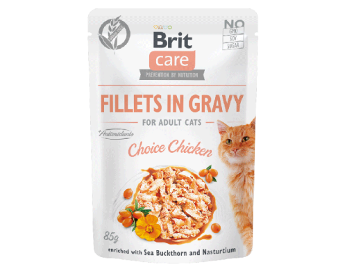 bcc_puch_fillets_in_gracy_chicken_saszetka_85g_petsplanet_bydgoszcz.png