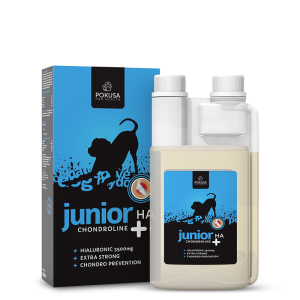 ChondroLine Junior + HA 500ml