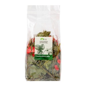 TIVO Truskawkowe Pole 100g