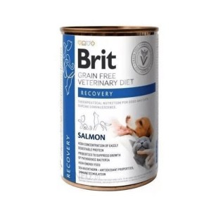 Brit GF Veterinary Diet Dog&Cat Recovery 400g